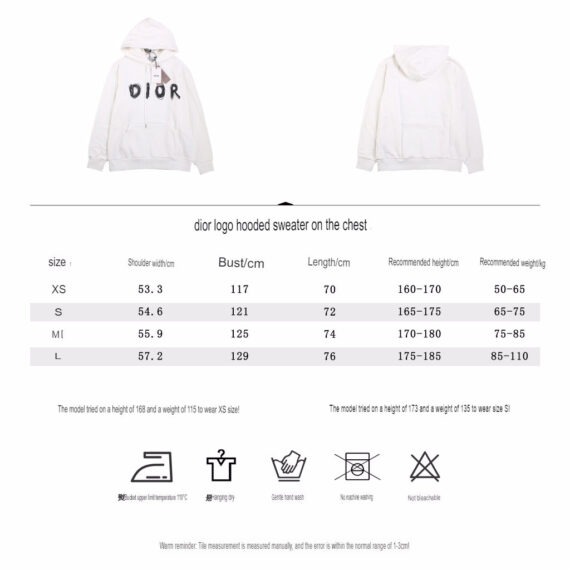 Dior Brushstroke Hoodie