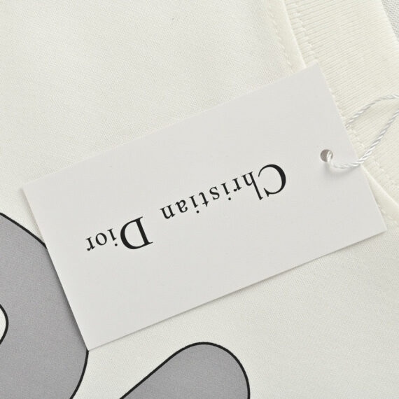 Dior Oversized Grey Logo White T-Shirt