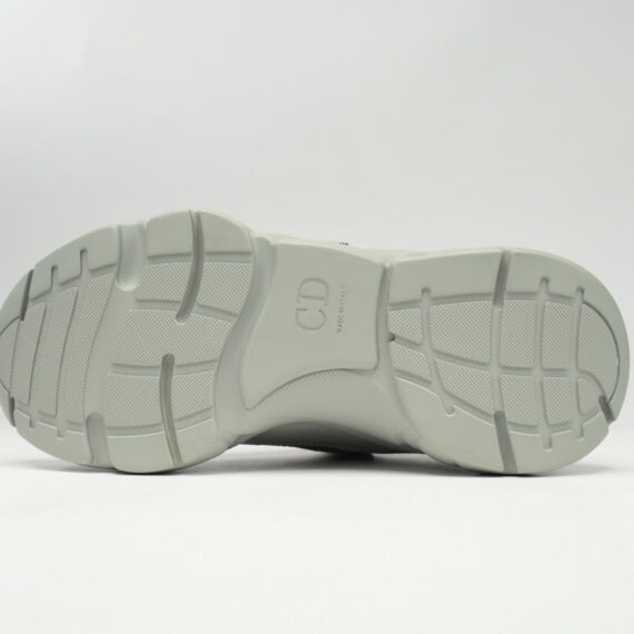 DIOR B22 GREY