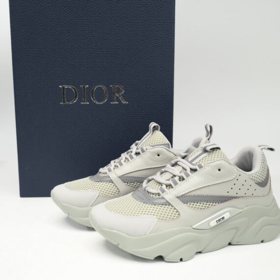 DIOR B22 GREY