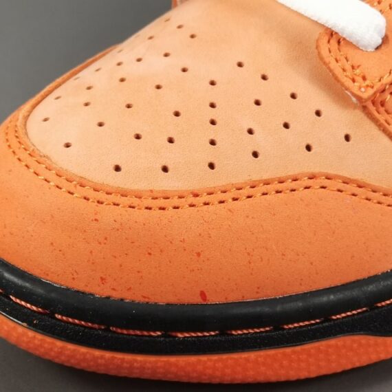 NIKE SB DUNK x CONCEPTS ORANGE LOBSTER